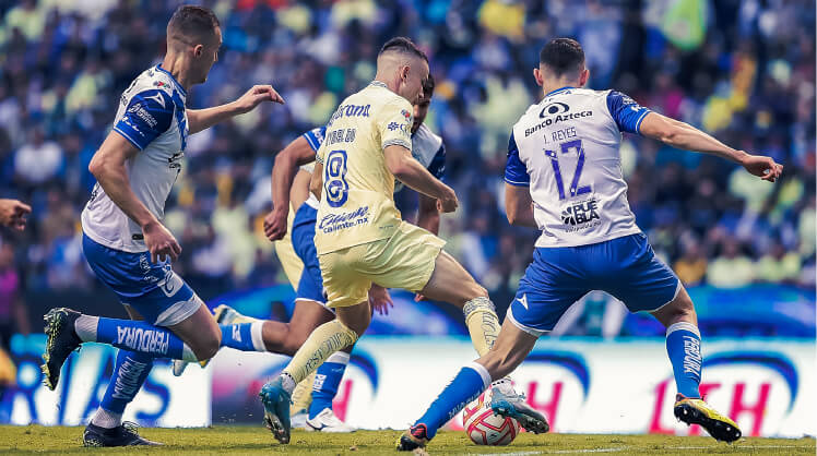 8 equipos tienen la mira puesta en el título de campeón.